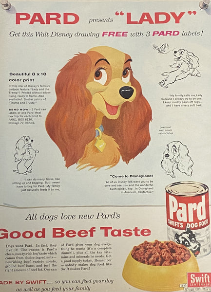 Vintage 1955 Pard Dog Food Lady and The Tramp Disney Framed Magazine Ad 16x12
