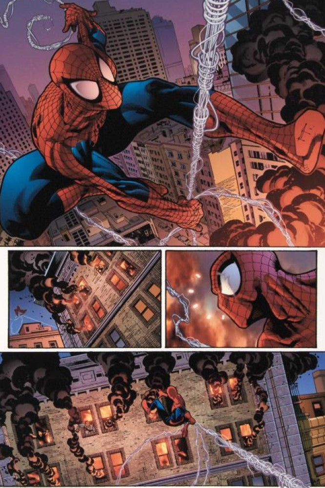 The Amazing Spider-Man #596 - By Paulo Siqueira - Limited Edition Giclée on Canvas